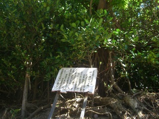 CIMG6411