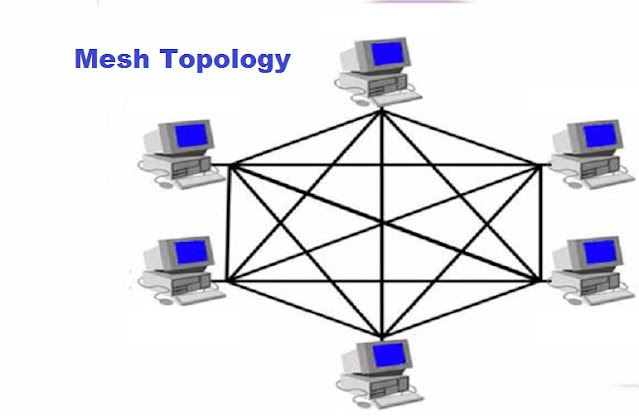 Network Topology