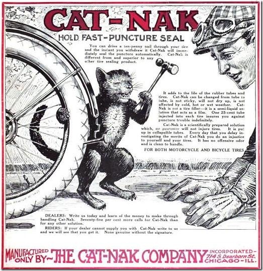 cat-nak