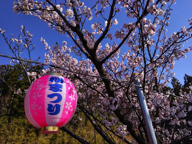 桜まつり