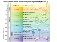 Waktu Geologi Dalam Sejarah Bumi