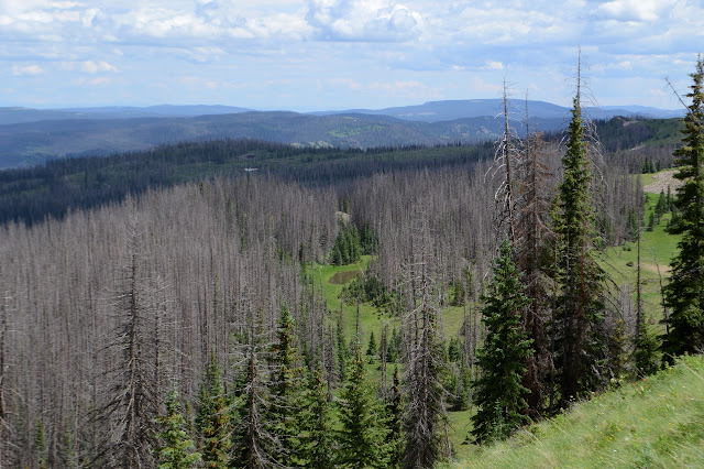 ponds beside and below