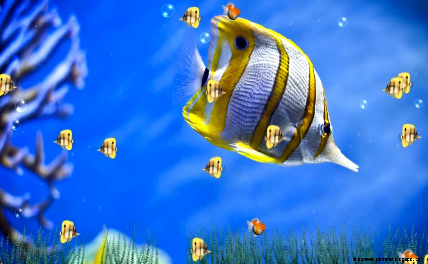 3D Moving Wallpapers for Windows 7 Free Download 3D Moving Wallpapers for Windows 7 Free Download