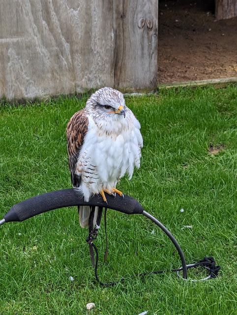 Thorp Perrow Birds Of Prey