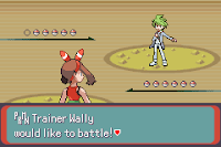 Pokemon Delta Emerald Screenshot 04