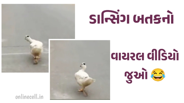 The Viral Video of a Dancing Duck That Will Make Your Day!