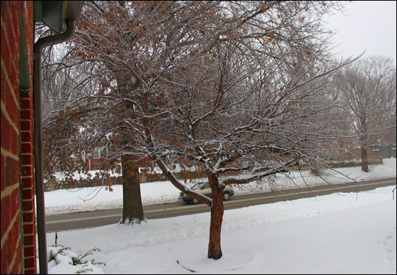 Picture 011