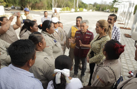 En equipo, combaten dengue, zika y chikungunya