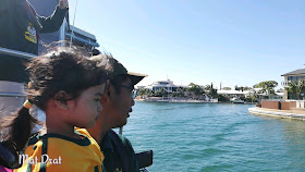 Mandurah Dolphin Watching Cruise Perth Terrace Canal