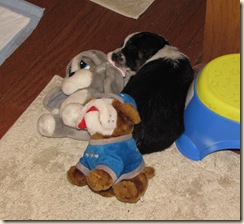 Maggie and friends