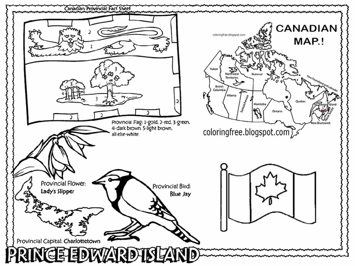 Blue jay wildlife bird Canada drawing Charlottetown City Pt Edward Island Canadian colouring pages