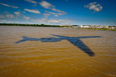 Shadow of jet, coming into DC's National Airport.