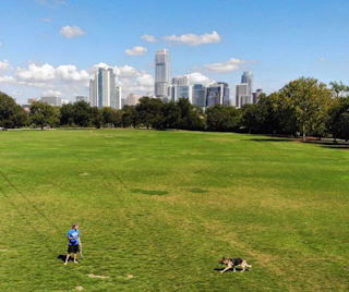 fun in austin zilker park