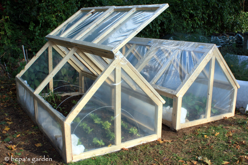 Cold Frame Greenhouse Plans