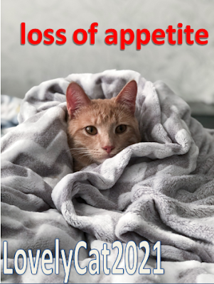 loss of appetite