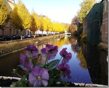 Photo-36