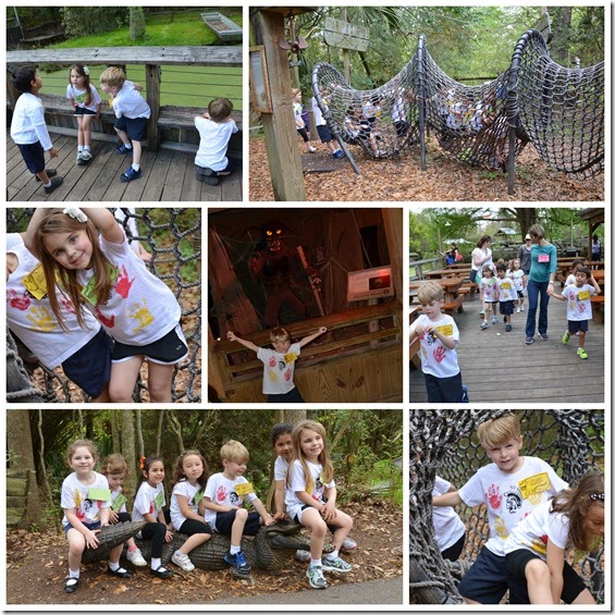 zoo2