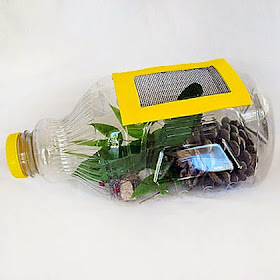 https://spoonful.com/crafts/juice-bottle-bug-catcher