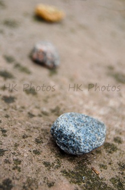 rocks