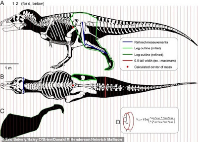  yaitu salah satu predator yg paling ganas yg pernah berjalan di muka Bumi ini T. Rex Berbadan Besar, Mampu Berbalik Tubuh Dengan Cepat