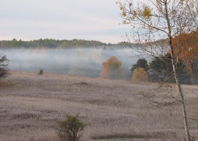 fog in shallow valley