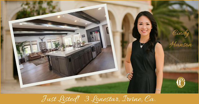 just listed by cindy hanson with CHGLH 3 lonestar, irvine