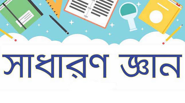 আন্তর্জাতিক দিবস: নভেম্বর ও ডিসেম্বর