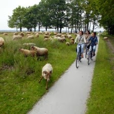  kamperen in Drenthe