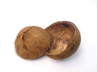 tempurung kelapa