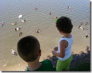 Photo0147