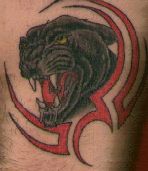 Design  Tattoo on Big Cat With Red Tribal Design