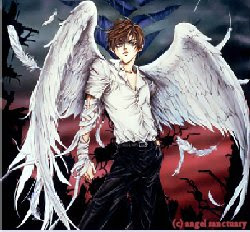 Anime Angel Man