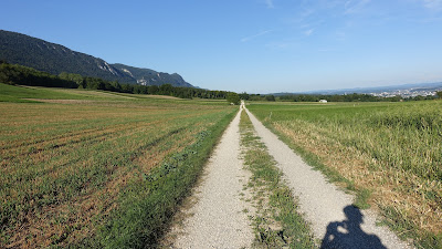 Immer der Nase nach nach Lommiswil