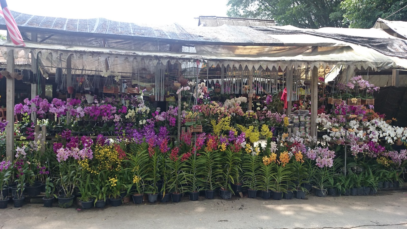 Today BAHAGIA Kedai bunga  paling murah di Sungai Buloh 