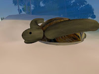 Second life animal pictures - turtle