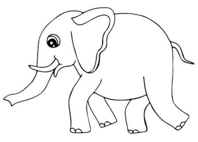  20 Sketsa Gambar Hewan Gajah Yang Mudah Di Warnai Untuk 