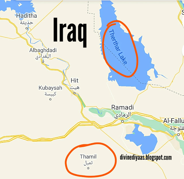 Tamil in Iraq