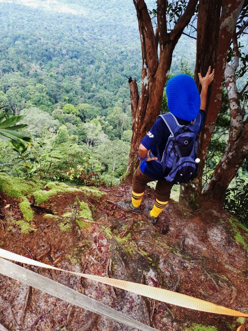  Gunung Panti Kota Tinggi Johor