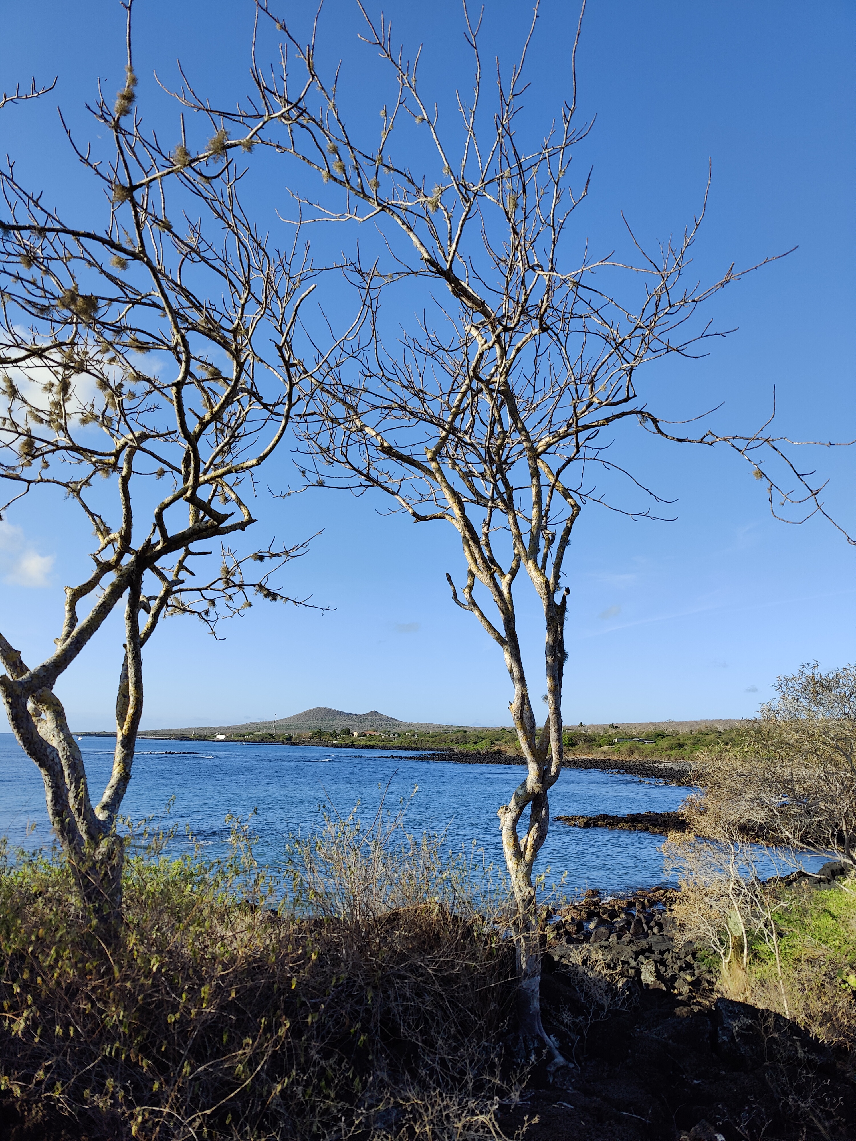 Isla Floreana