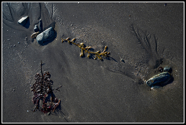 Sperry's Beach; Nova Scotia; Atlantic Maritimes