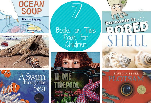 The Educator S Companion 7 Books On Tide Pools For Children