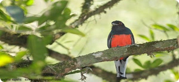 Parque Provincial Cañadón de Profundidad