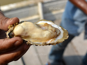 Oyster-Muar-Johor