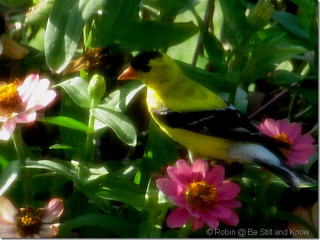 IMG_0168_1 - edit