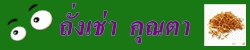 ถั่งเช่าคุณตา