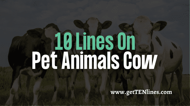 10 Lines on Pet Animals Cow in English [Updated in 2022]