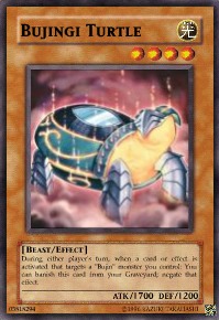 bujingiturtle