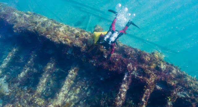 Erebus dive from Parks Canada