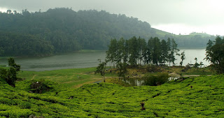 Situ Patenggang Ciwidey