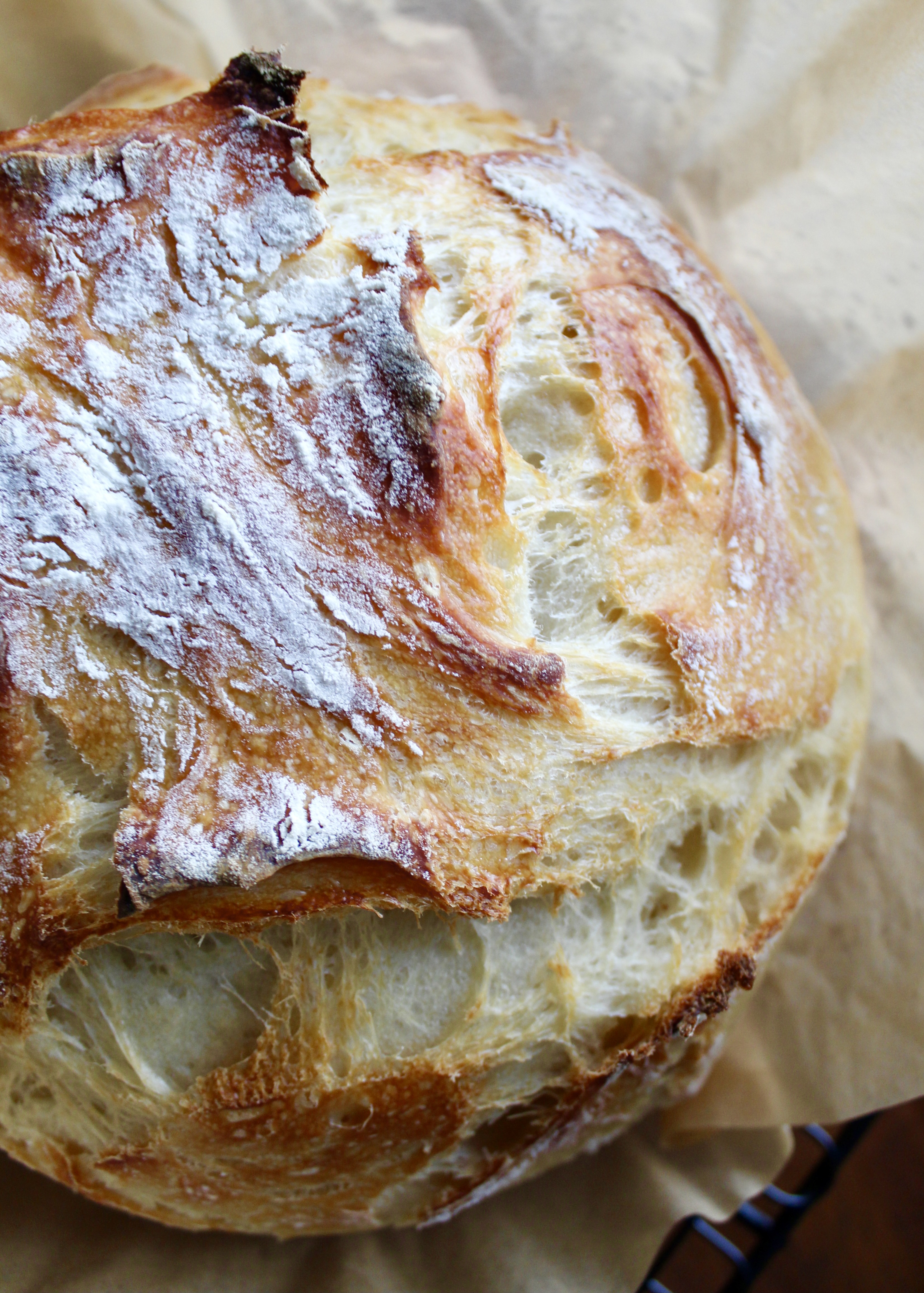 Beginner artisan sourdough bread